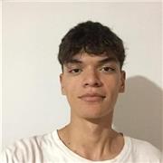 Osteología bovina y equina